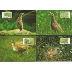 Mołdawia 2001, WWF: ptak derkacz. Karty maksimum