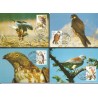 Malta 1991, WWF: ptaki drapieżne. Karty maksimum