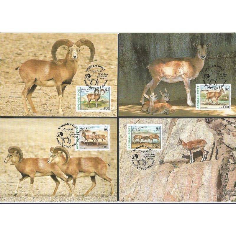 Afganistan 1998, WWF: owca stepowa. Karty maksimum