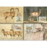 Afganistan 1998, WWF: owca stepowa. Karty maksimum