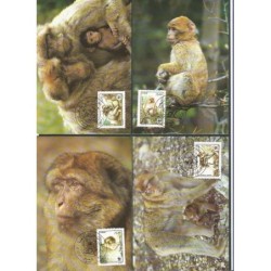 Algieria 1988, WWF: małpa makak. Karty maksimum