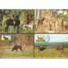 Angola 1990, WWF: antylopa sobolowa. Karty maksimum