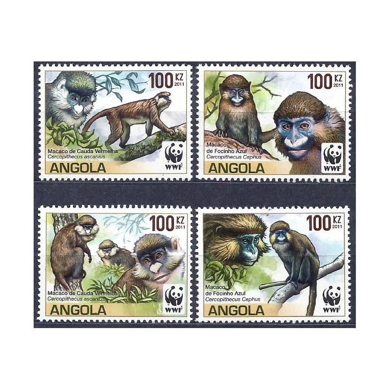 Angola 2011, WWF: małpa koczkodan biało wargi **