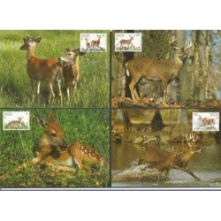 Antyle 1992, WWF: jeleń mulak. Karty maksimum