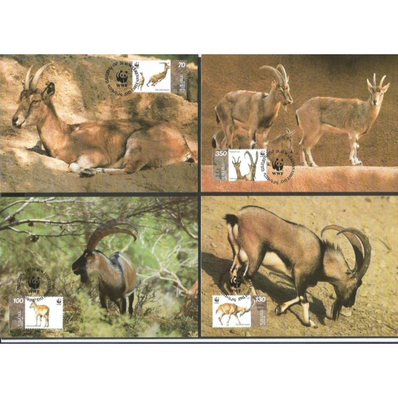 Armenia 1996, WWF: koza bezoarowa. Karty maksimum