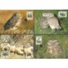 Aruba 1994, WWF: ptaki, sowy. Karty maksimum