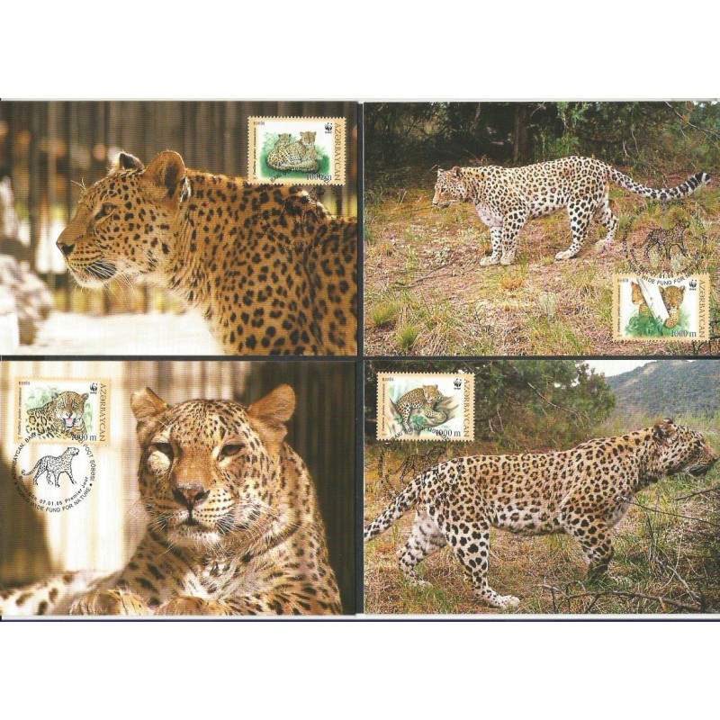 Azerbejdżan 2005, WWF: lampart plamisty. Karty maksimum