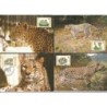 Azerbejdżan 2005, WWF: lampart plamisty. Karty maksimum