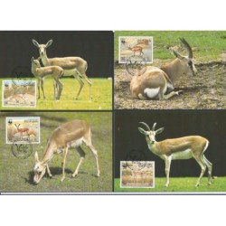 Bahrajn 1993, WWF: gazela. Karty maksimum