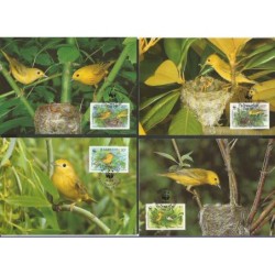 Barbados 1991, WWF: ptak lasówka. Karty maksimum