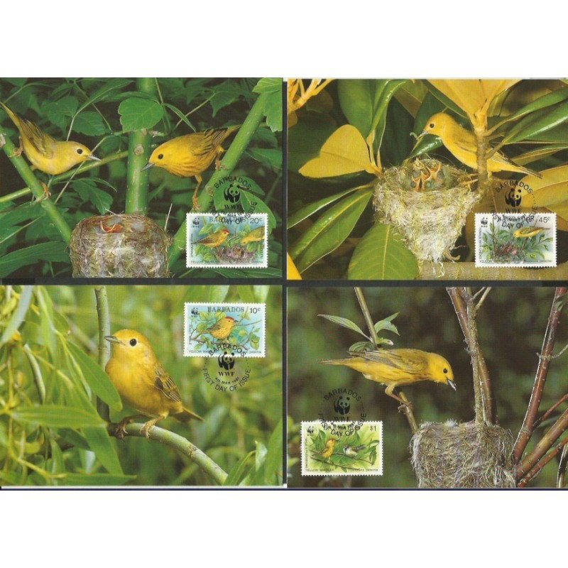 Barbados 1991, WWF: ptak lasówka. Karty maksimum