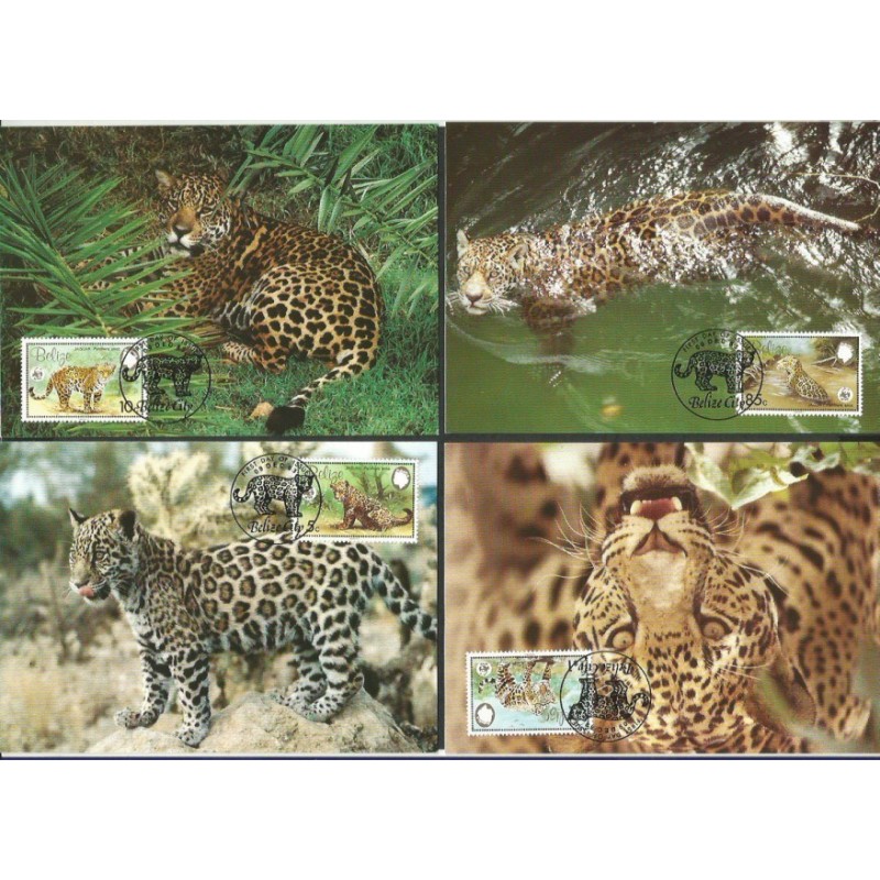 Belize 1983, WWF: pantera. Karty maksimum