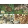 Belize 1983, WWF: pantera. Karty maksimum