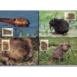 Białoruś 1995, WWF: bóbr. Karty maksimum