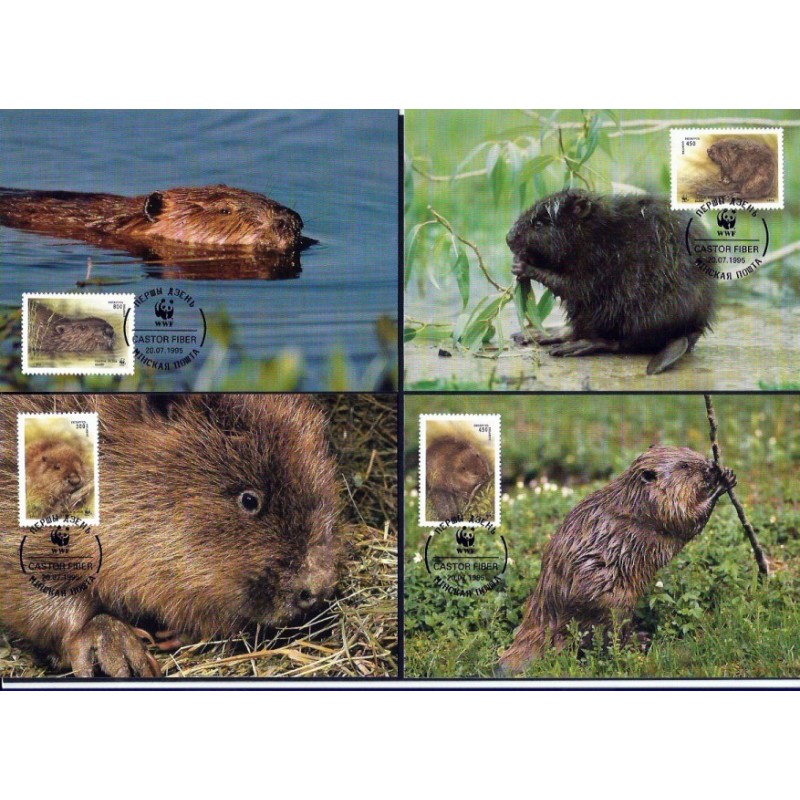 Białoruś 1995, WWF: bóbr. Karty maksimum