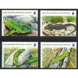 Bośnia 2010, WWF: jaszczurka **