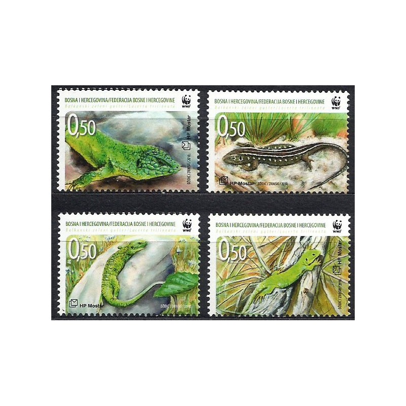 Bośnia 2010, WWF: jaszczurka **