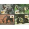 Botswana 1995, WWF: hiena. Karty maksimum