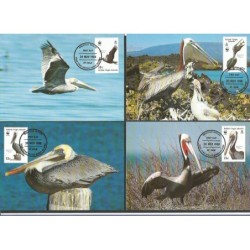 Br. W. Dziewicze 1988, WWF: ptak pelikan brunatny. Karty maksimum