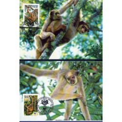 Brazylia 1984, WWF: małpy. Karty maksimum