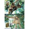 Brazylia 1984, WWF: małpy. Karty maksimum