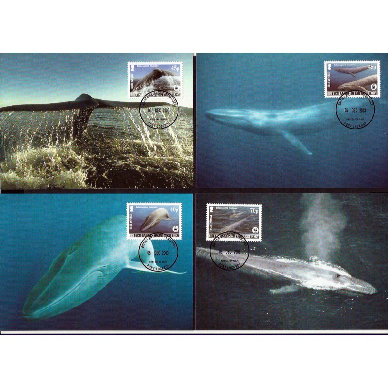 Bryt. Ter. Arktyczne 2003, WWF: wieloryb. Karty maksimum