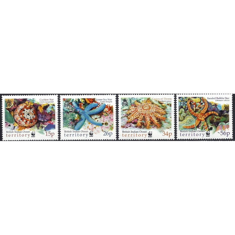 Bryt. Ter. Ind. 2001, WWF: rozgwiazdy **