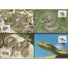 Chorwacja 1999, WWF: wąż. Karty maksimum