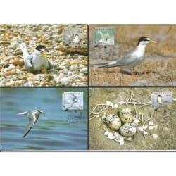 Chorwacja 2006, WWF: ptak rybitwa. Karty maksimum