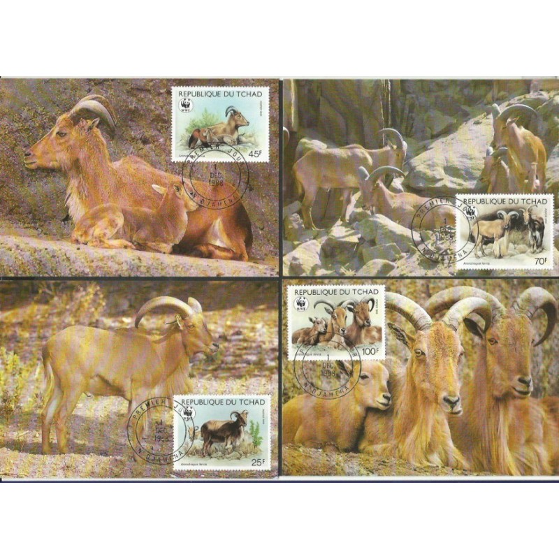 Czad 1988, WWF: owca grzywiasta. Karty maksimum