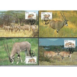 Erytrea 1996, WWF: gazela. Karty maksimum