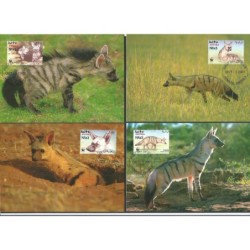 Erytrea 2001, WWF: hiena protel. Karty maksimum