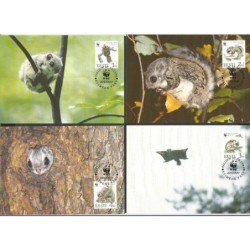 Estonia 1994, WWF: wiewiórka polatucha. Karty maksimum