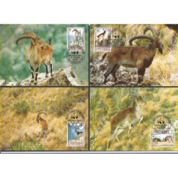 Etiopia 1990, WWF: koziorożec. Karty maksimum