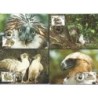 Filipiny 1991, WWF: ptak jastrząb małpożer. Karty maksimum