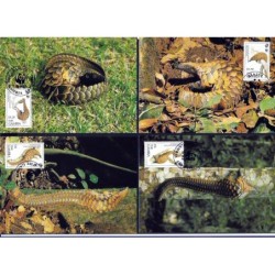 Gambia 1993, WWF: łuskowiec. Karty maksimum