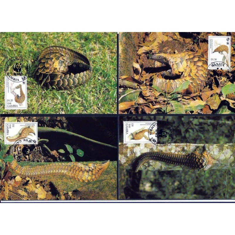 Gambia 1993, WWF: łuskowiec. Karty maksimum