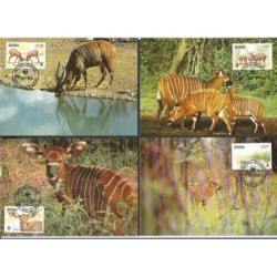 Ghana 1984, WWF: antylopa bongo. Karty maksimum