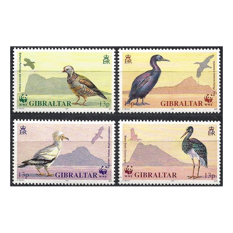 Gibraltar 1991, WWF: ptaki **