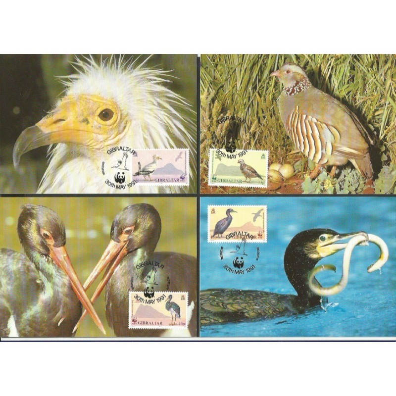 Gibraltar 1991, WWF: ptaki. Karty maksimum