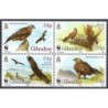 Gibraltar 1996, WWF: ptaki, kania ruda **