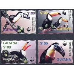 Gujana 2003, WWF: ptak tukan **