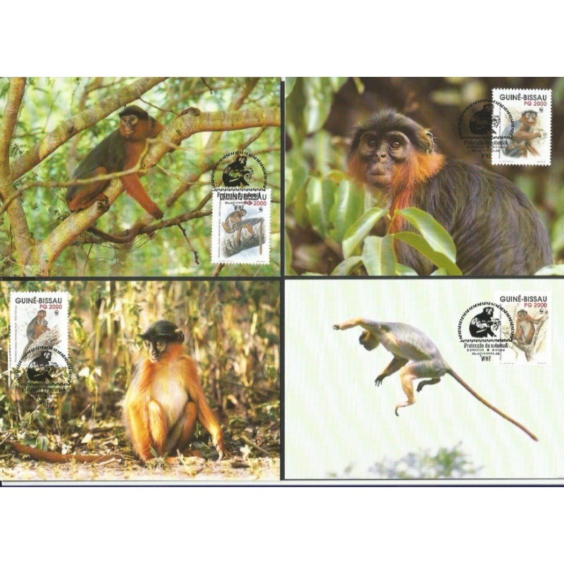 Gwinea Bissau 1992, WWF: małpa gerezanka. Karty maksimum