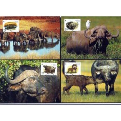 Gwinea Bissau 2002, WWF: bawół. Karty maksimum