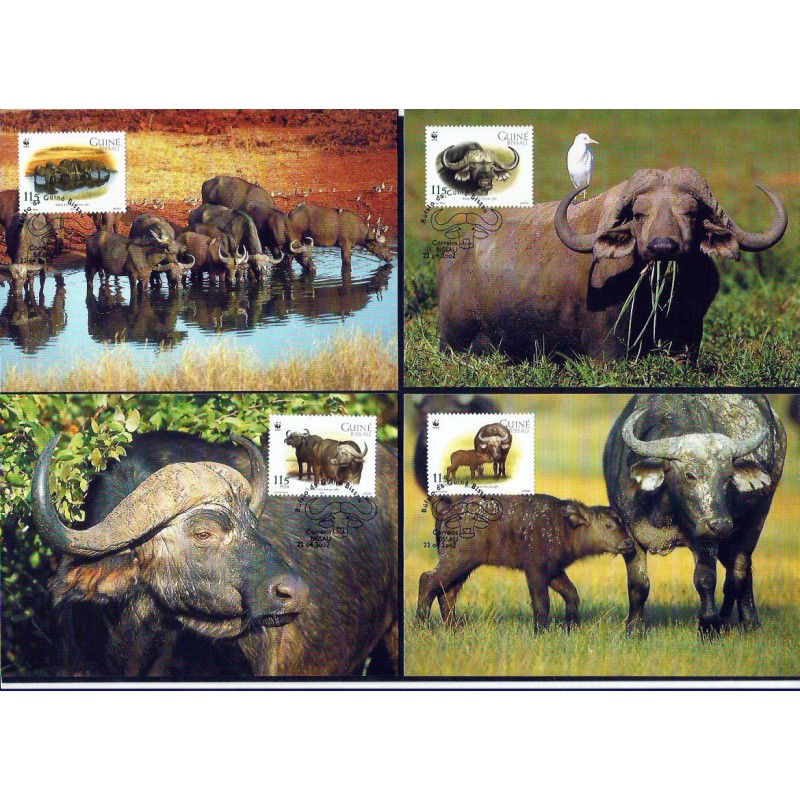 Gwinea Bissau 2002, WWF: bawół. Karty maksimum