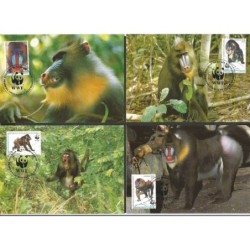 Gwinea Równikowa 1991, WWF: małpa mandryl. Karty maksimum