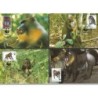 Gwinea Równikowa 1991, WWF: małpa mandryl. Karty maksimum