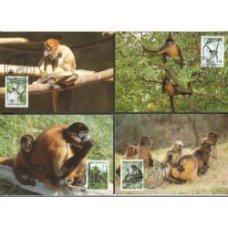Honduras 1990, WWF: małpa czepiak. Karty maksimum