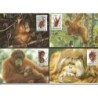 Indonezja 1989, WWF: małpa orangutan. Karty maksimum