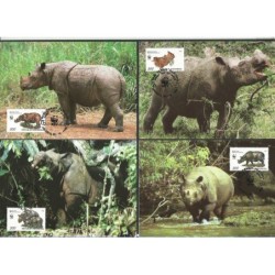 Indonezja 1996, WWF: nosorożec. Karty maksimum